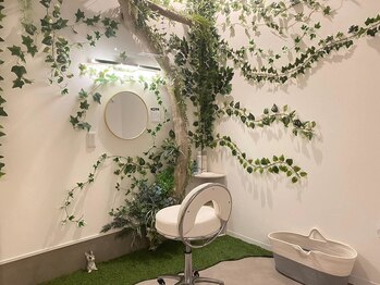 ヌマール バクの森/お部屋の中