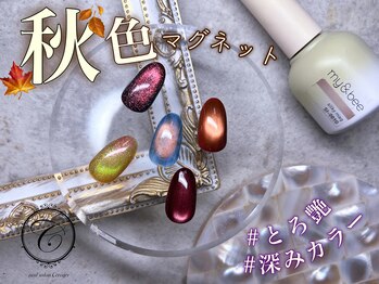 セリシール(Cericier)/【パラジェル】秋色マグネット♪