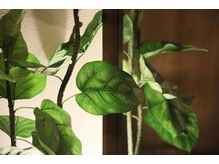 森の癒しの雰囲気(店内の照明・音・香りにこだわっております♪施術後はドリンクも)