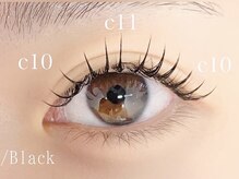 ネリネ 博多(nerine)/フラットマットラッシュ120本