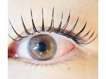 メイプル(MAPLE)/フラットラッシュ140本