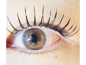 メイプル(MAPLE)/フラットラッシュ140本