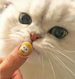 【NO NAIL,NO LIFE】私たち、こんな風にネイル楽しんでます！