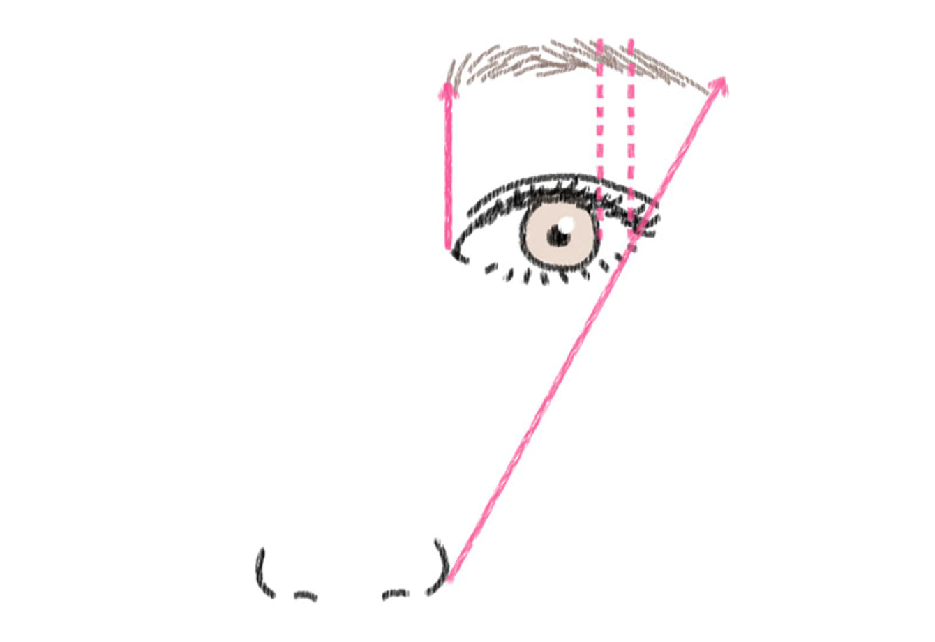 理想的な眉毛の形
