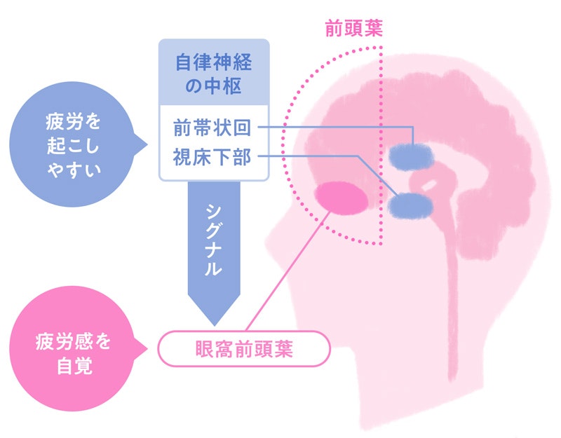 医師の診察を受ける時間はいつですか?