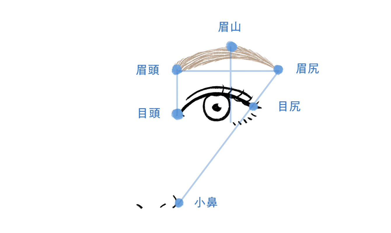 イラストで学ぶ眉メイクの基本 上手な描き方と自眉の整え方 イメージ別眉毛デザイン ホットペッパービューティーマガジン