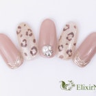 定額カジュアルコース