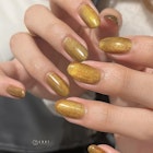 【パラジェル】magnet