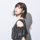 ストレートロブ