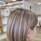 シャドウルーツ