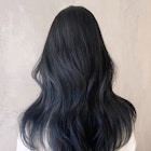 ブルーブラック_テラコッタくすみブルーミニウルフ_ba346341