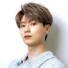 ●フェザーコンマバング●