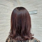 ミディアムレイヤー