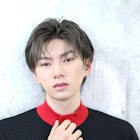 毛流れリバース【韓国ウルフ】コンマバング センターパート