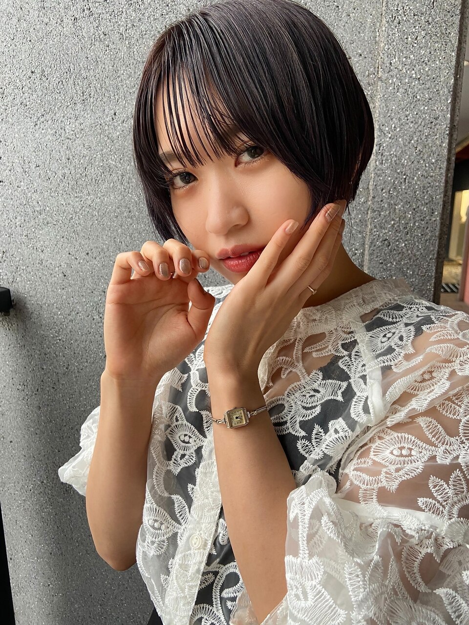 lavender ash  ×  shorthair