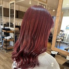 ダブルカラー/カシスレッド/チェリーレッド/ワインレッド