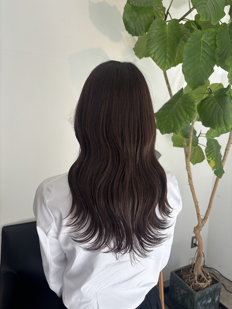 【モカムース×ムルギョルウェーブ】大村