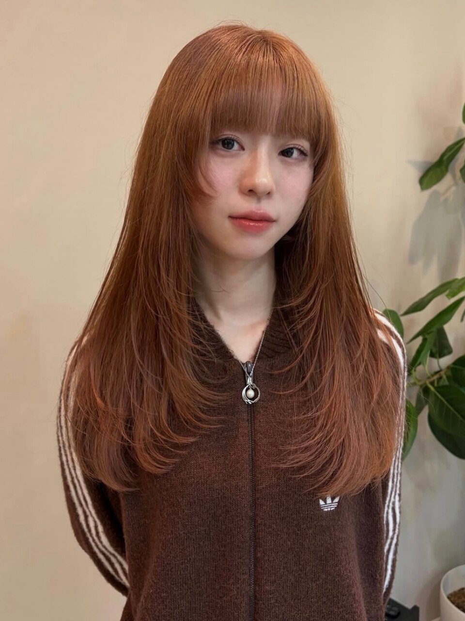 ハイレイヤー
